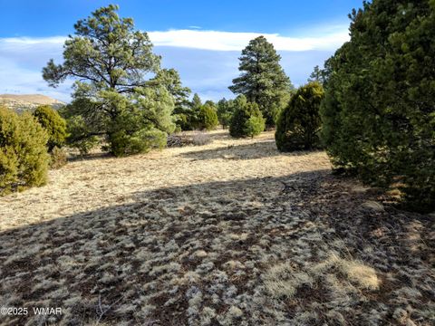 Tiny photo for LOT 8 Red Cabin Ranch #8, Vernon, AZ 85940 (MLS # 254496)