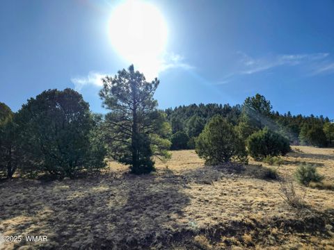 Tiny photo for LOT 8 Red Cabin Ranch #8, Vernon, AZ 85940 (MLS # 254496)