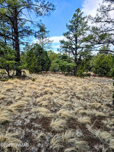 Tiny photo for LOT 8 Red Cabin Ranch #8, Vernon, AZ 85940 (MLS # 254496)