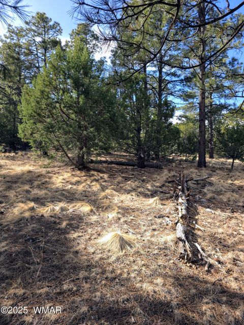 Tiny photo for LOT 8 Red Cabin Ranch #8, Vernon, AZ 85940 (MLS # 254496)