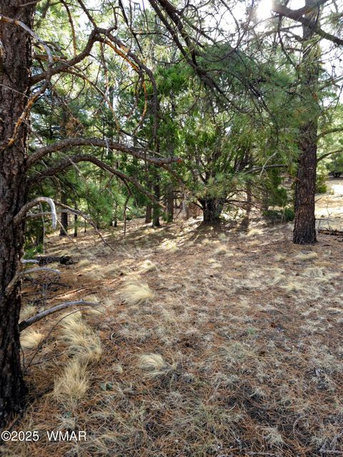 Tiny photo for LOT 8 Red Cabin Ranch #8, Vernon, AZ 85940 (MLS # 254496)