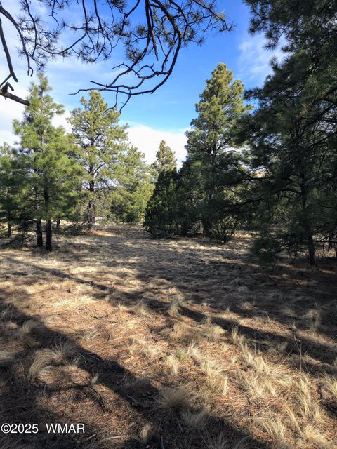Tiny photo for LOT 8 Red Cabin Ranch #8, Vernon, AZ 85940 (MLS # 254496)