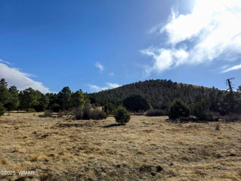 Tiny photo for LOT 8 Red Cabin Ranch #8, Vernon, AZ 85940 (MLS # 254496)