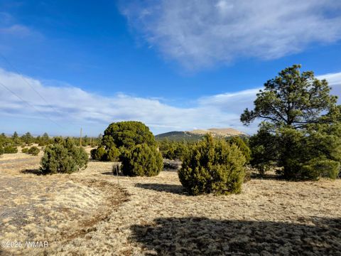 Tiny photo for LOT 8 Red Cabin Ranch #8, Vernon, AZ 85940 (MLS # 254496)