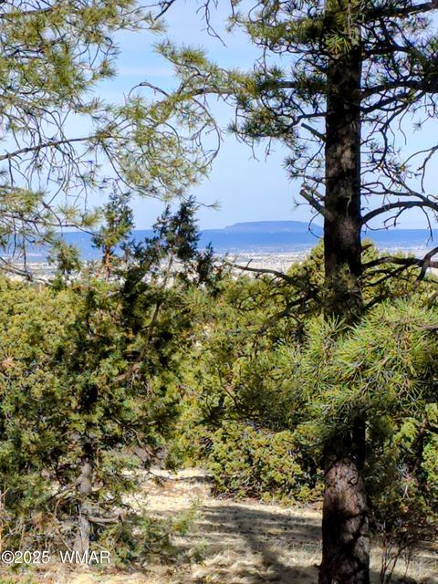 Photo of LOT 8 Red Cabin Ranch #8, Vernon, AZ 85940 (MLS # 254496)