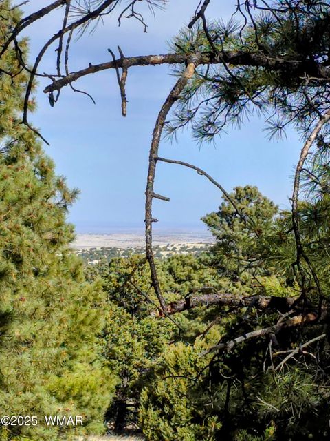 Tiny photo for LOT 8 Red Cabin Ranch #8, Vernon, AZ 85940 (MLS # 254496)