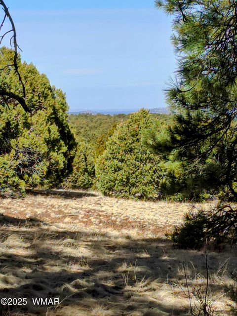 Tiny photo for LOT 8 Red Cabin Ranch #8, Vernon, AZ 85940 (MLS # 254496)