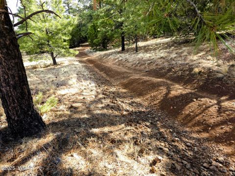 Tiny photo for LOT 8 Red Cabin Ranch #8, Vernon, AZ 85940 (MLS # 254496)