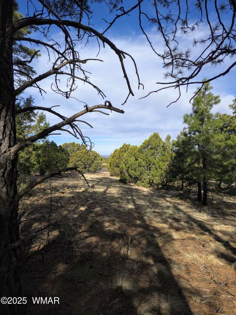 Tiny photo for LOT 8 Red Cabin Ranch #8, Vernon, AZ 85940 (MLS # 254496)