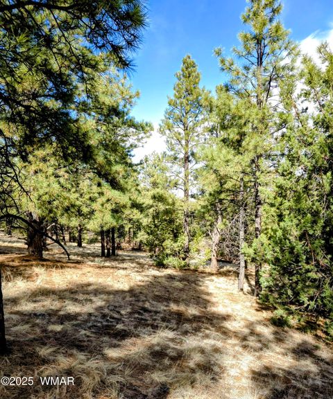 Tiny photo for LOT 8 Red Cabin Ranch #8, Vernon, AZ 85940 (MLS # 254496)