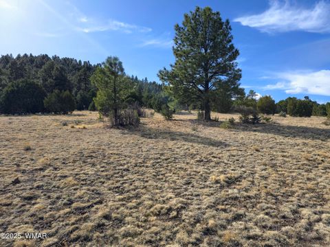 Tiny photo for LOT 8 Red Cabin Ranch #8, Vernon, AZ 85940 (MLS # 254496)