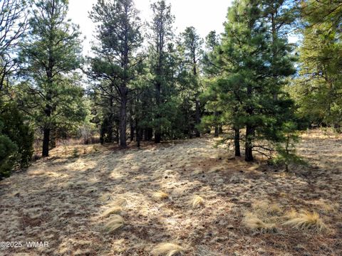 Tiny photo for LOT 8 Red Cabin Ranch #8, Vernon, AZ 85940 (MLS # 254496)