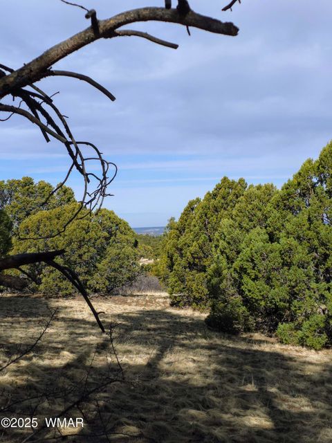 Tiny photo for LOT 8 Red Cabin Ranch #8, Vernon, AZ 85940 (MLS # 254496)