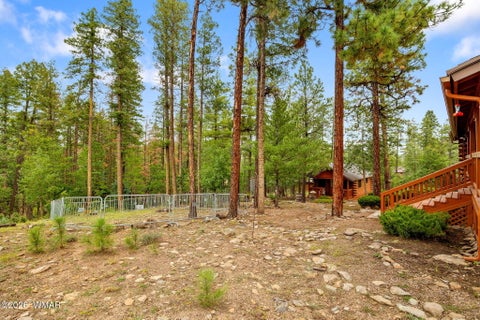 Tiny photo for 10 County Road 2074, Alpine, AZ 85920 (MLS # 263157)
