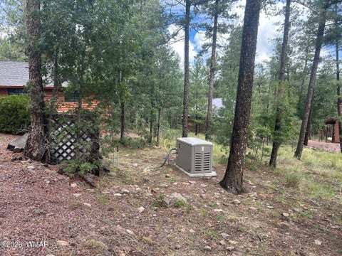 Tiny photo for 10 County Road 2074, Alpine, AZ 85920 (MLS # 263157)