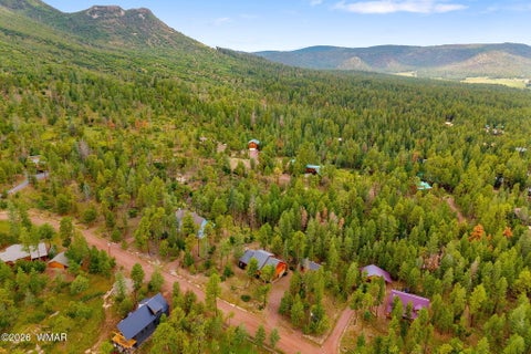 Tiny photo for 10 County Road 2074, Alpine, AZ 85920 (MLS # 263157)