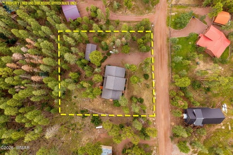 Tiny photo for 10 County Road 2074, Alpine, AZ 85920 (MLS # 263157)