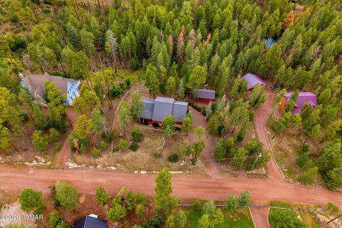 Tiny photo for 10 County Road 2074, Alpine, AZ 85920 (MLS # 263157)