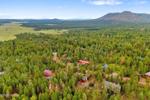 Tiny photo for 10 County Road 2074, Alpine, AZ 85920 (MLS # 263157)