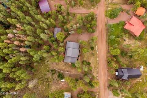 Tiny photo for 10 County Road 2074, Alpine, AZ 85920 (MLS # 263157)