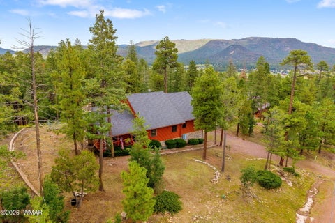 Tiny photo for 10 County Road 2074, Alpine, AZ 85920 (MLS # 263157)