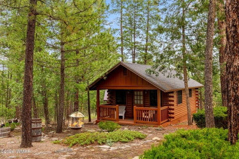 Tiny photo for 10 County Road 2074, Alpine, AZ 85920 (MLS # 263157)