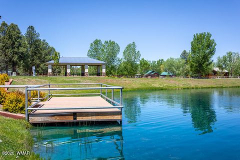 Tiny photo for 2702 Palomino Trail, Overgaard, AZ 85933 (MLS # 257463)