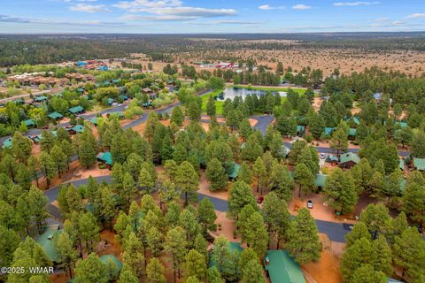 Tiny photo for 2702 Palomino Trail, Overgaard, AZ 85933 (MLS # 257463)