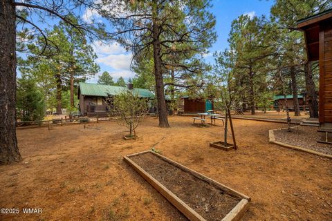 Tiny photo for 2702 Palomino Trail, Overgaard, AZ 85933 (MLS # 257463)
