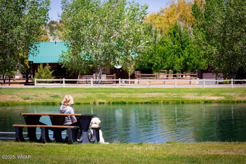 Tiny photo for 2702 Palomino Trail, Overgaard, AZ 85933 (MLS # 257463)