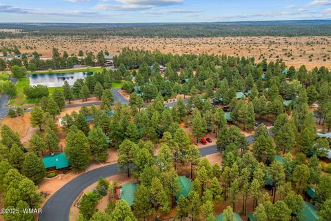 Tiny photo for 2702 Palomino Trail, Overgaard, AZ 85933 (MLS # 257463)