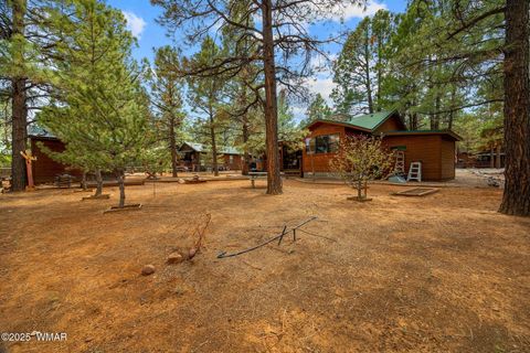 Tiny photo for 2702 Palomino Trail, Overgaard, AZ 85933 (MLS # 257463)