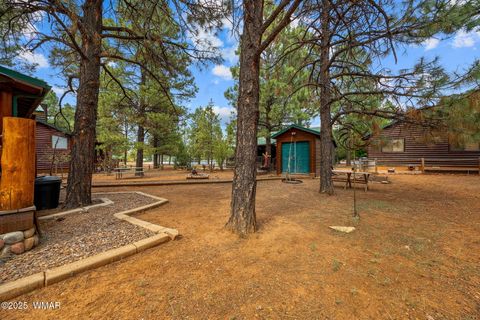 Tiny photo for 2702 Palomino Trail, Overgaard, AZ 85933 (MLS # 257463)