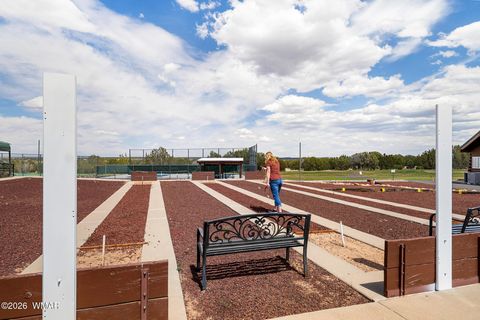 Tiny photo for 1812 Juniper Ridge Drive, Show Low, AZ 85901 (MLS # 260434)