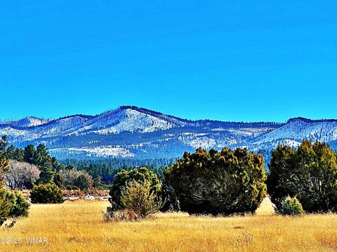 Tiny photo for Lot 3 106-67-026S, Vernon, AZ 85940 (MLS # 258271)