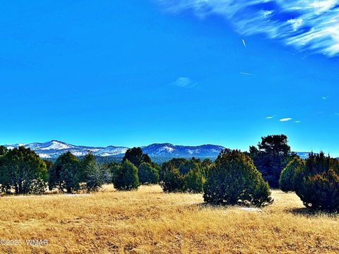 Tiny photo for Lot 3 106-67-026S, Vernon, AZ 85940 (MLS # 258271)