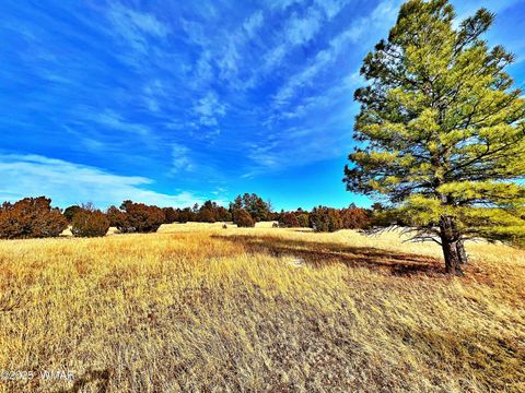 Tiny photo for Lot 3 106-67-026S, Vernon, AZ 85940 (MLS # 258271)