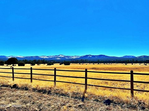 Photo of Lot 3 106-67-026S, Vernon, AZ 85940 (MLS # 258271)