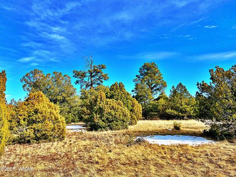 Tiny photo for Lot 3 106-67-026S, Vernon, AZ 85940 (MLS # 258271)