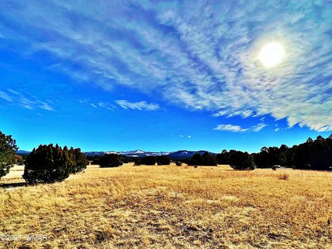 Tiny photo for Lot 3 106-67-026S, Vernon, AZ 85940 (MLS # 258271)