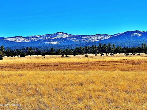 Tiny photo for Lot 3 106-67-026S, Vernon, AZ 85940 (MLS # 258271)