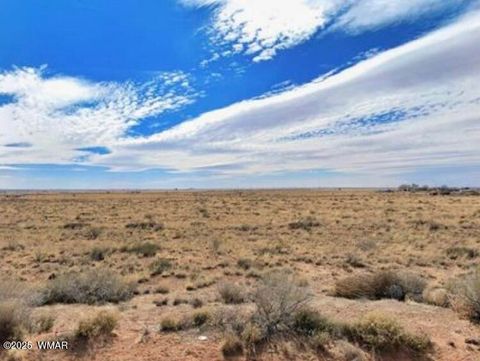 Photo of tbd 105-60-382 AZ Rancho 102, Holbrook, AZ 86025 (MLS # 254692)