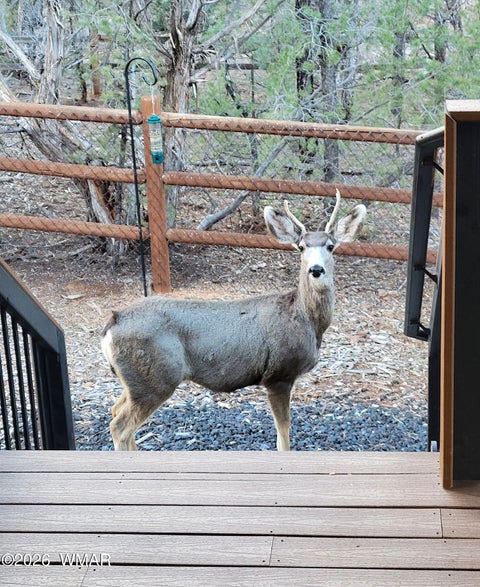 Tiny photo for 2150 N Bison Pass Court, Show Low, AZ 85901 (MLS # 262807)
