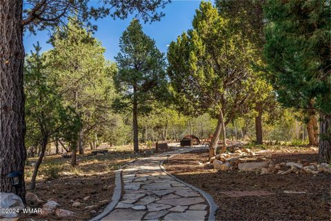 Tiny photo for 2946 Lodgepole Road, Overgaard, AZ 85933 (MLS # 253398)