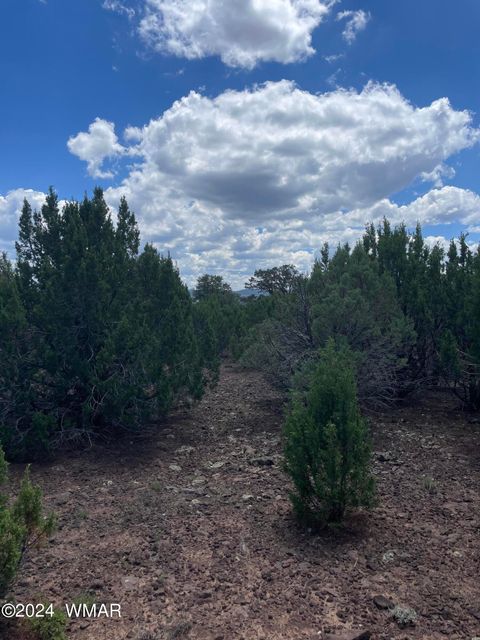 Tiny photo for 4 County Road 3331, Vernon, AZ 85940 (MLS # 252915)