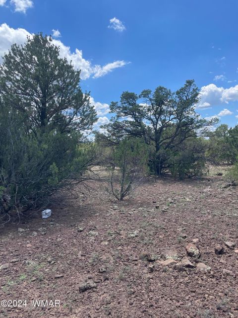 Tiny photo for 4 County Road 3331, Vernon, AZ 85940 (MLS # 252915)