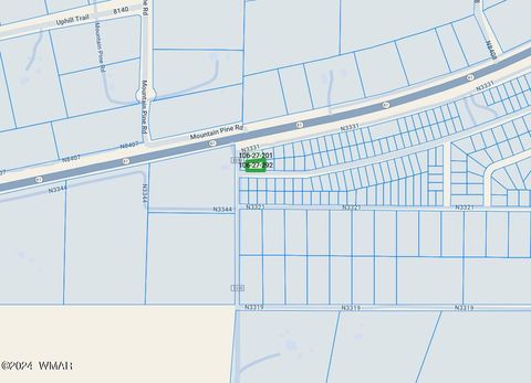 Tiny photo for 4 County Road 3331, Vernon, AZ 85940 (MLS # 252915)