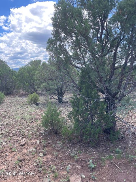 Tiny photo for 4 County Road 3331, Vernon, AZ 85940 (MLS # 252915)