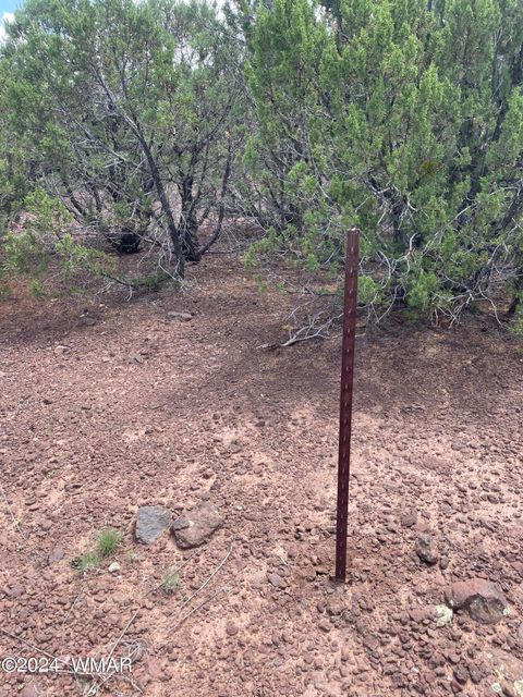Tiny photo for 4 County Road 3331, Vernon, AZ 85940 (MLS # 252915)