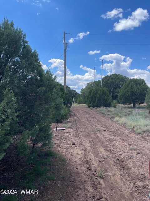 Tiny photo for 4 County Road 3331, Vernon, AZ 85940 (MLS # 252915)